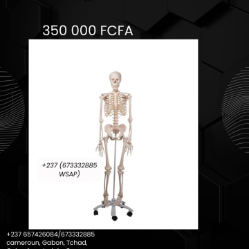 MANNEQUIN SQUELETTIQUE